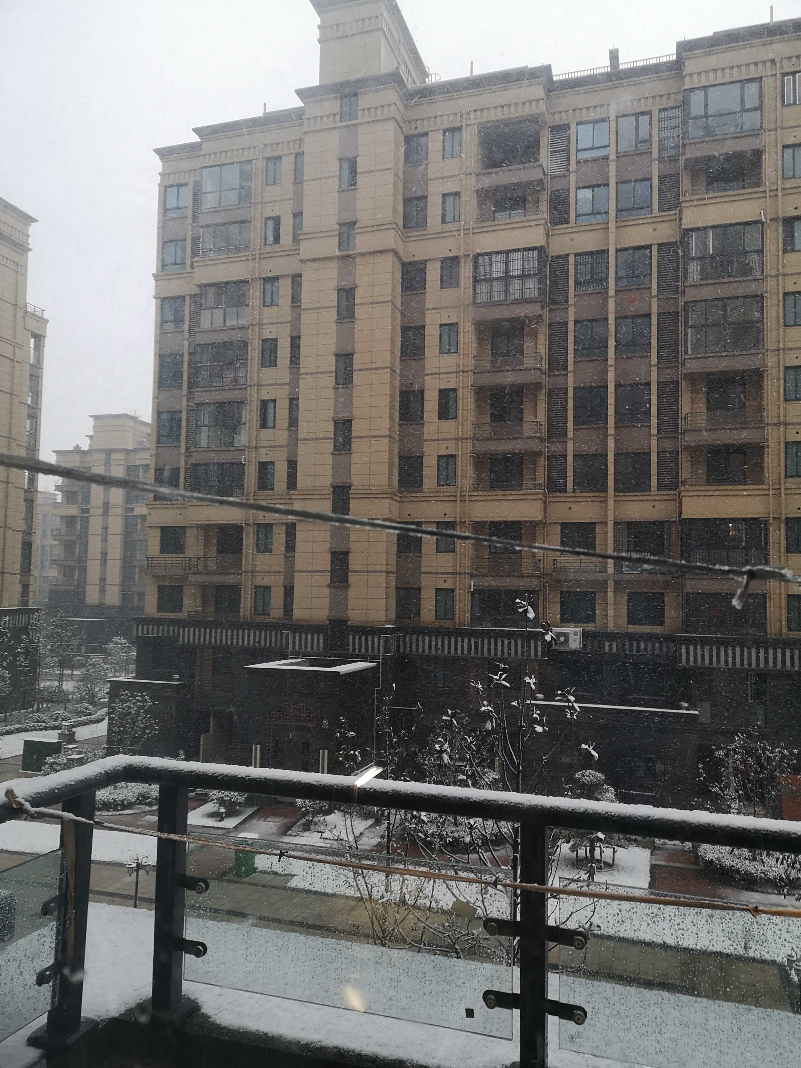 2020年2月15日,摄于家中